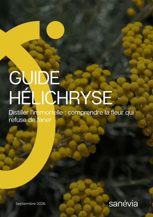 Couverture du guide Sanévia Hélichryse
