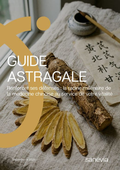 Guide Astragale : Renforcer ses défenses : la racine millénaire de la médecine chinoise au service de votre vitalité