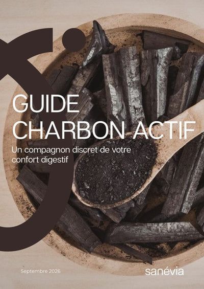 Guide Charbon actif : Un compagnon discret de votre confort digestif