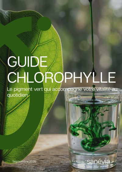 Guide Chlorophylle : Le pigment vert qui accompagne votre vitalité au quotidien