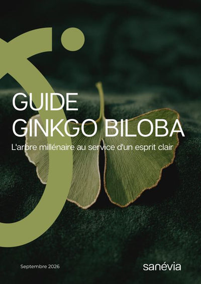 Guide Ginkgo biloba : L'arbre millénaire au service d'un esprit clair
