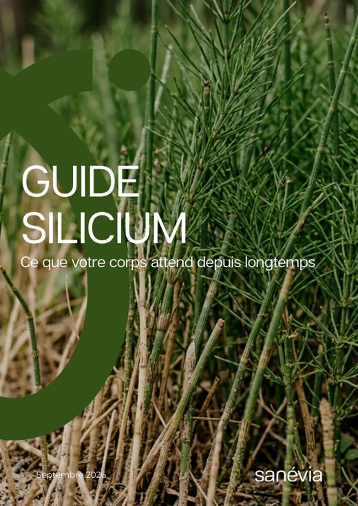 Couverture du guide Sanévia Silicium