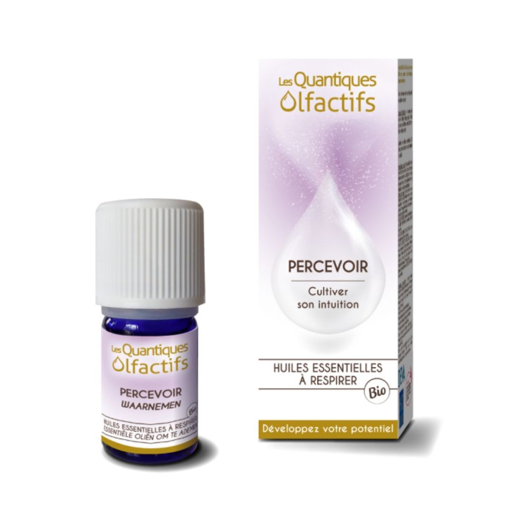 Quantique Olfactif Percevoir
