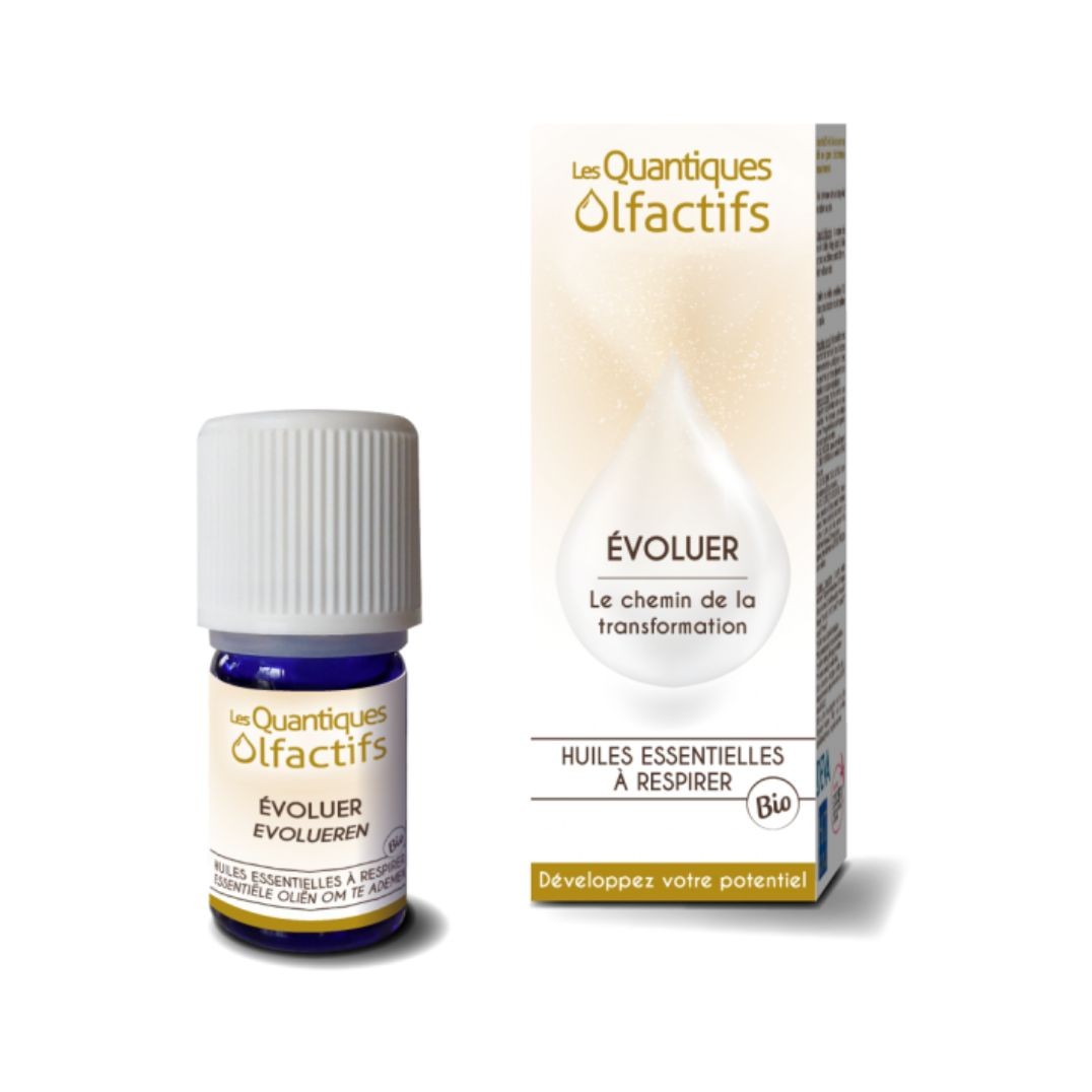 Quantique Olfactif Evoluer