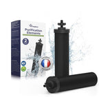 Boite de 2 cartouches Purification Elements