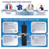 Boite de 2 cartouches Purification Elements