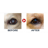 Collyre pour animaux Pets Eye Drops