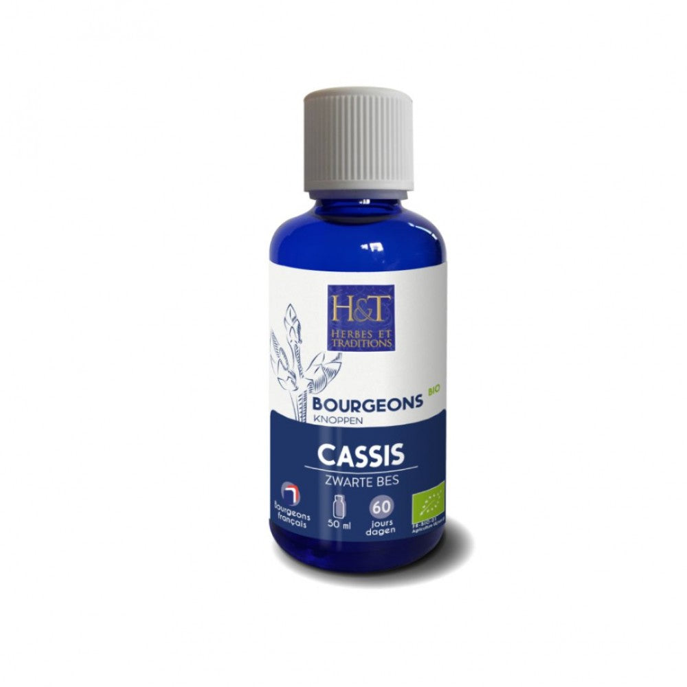 Bourgeons de Cassis bio Herbes et Traditions, 50 ml