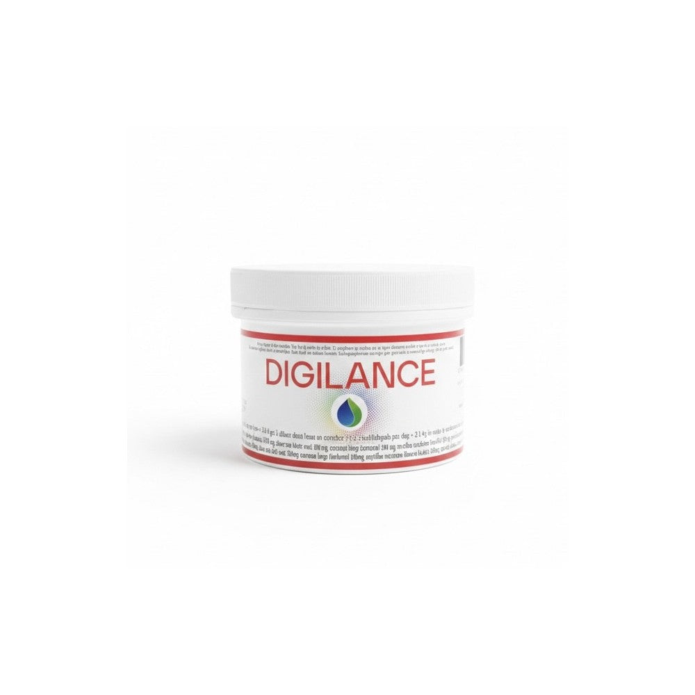 Digilance Jade Recherche, 200 g