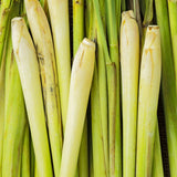Huile essentielle Citronnelle de Ceylan