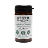 Télomère
